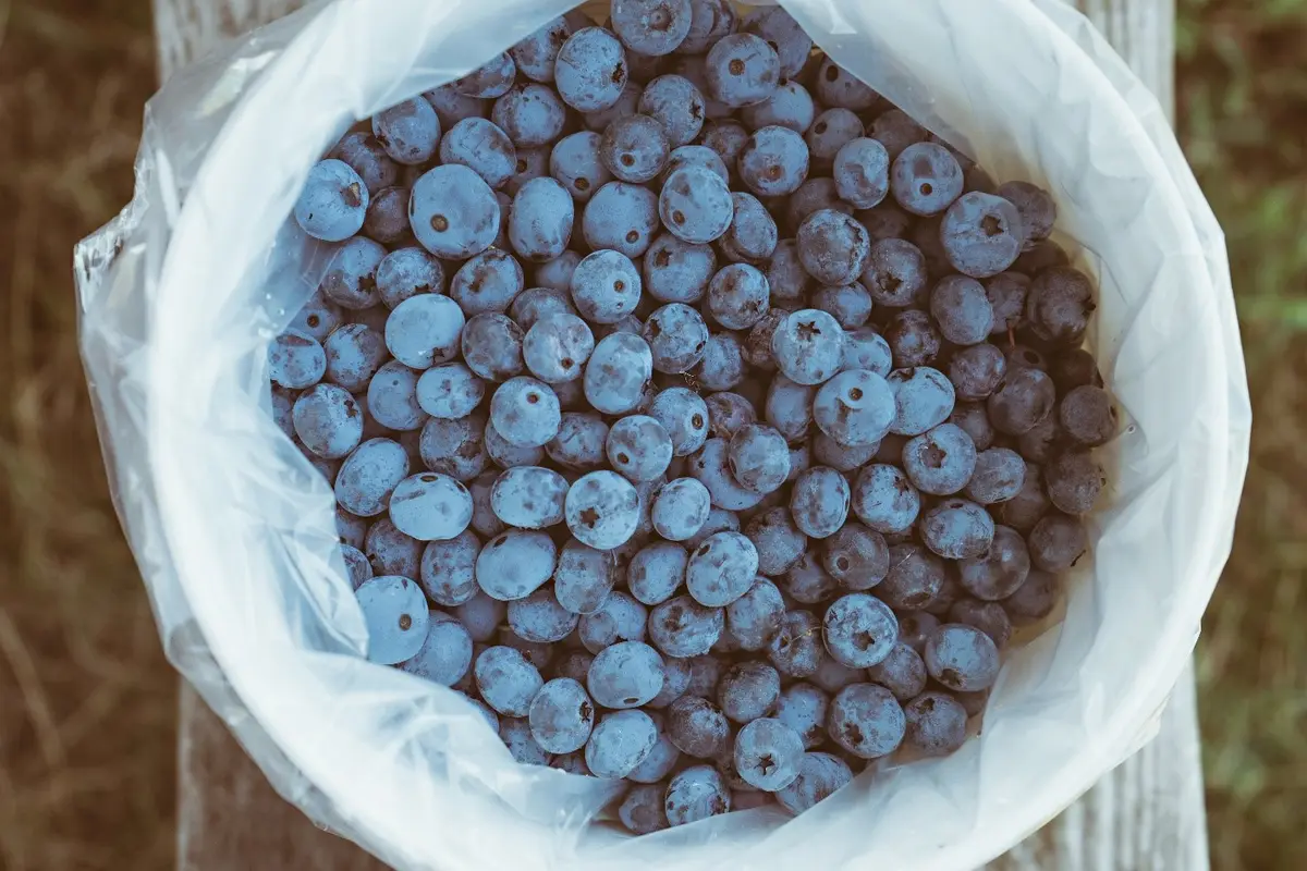7 Healthy Foods You Should Be Eating
