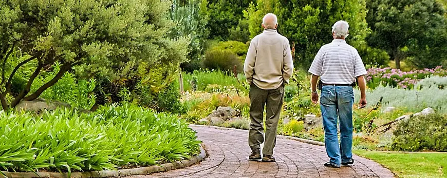 3 Steps to Improved Wellness