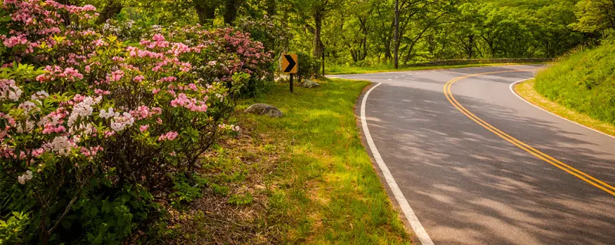 Risk of Car Accident Injury is Highest in Spring