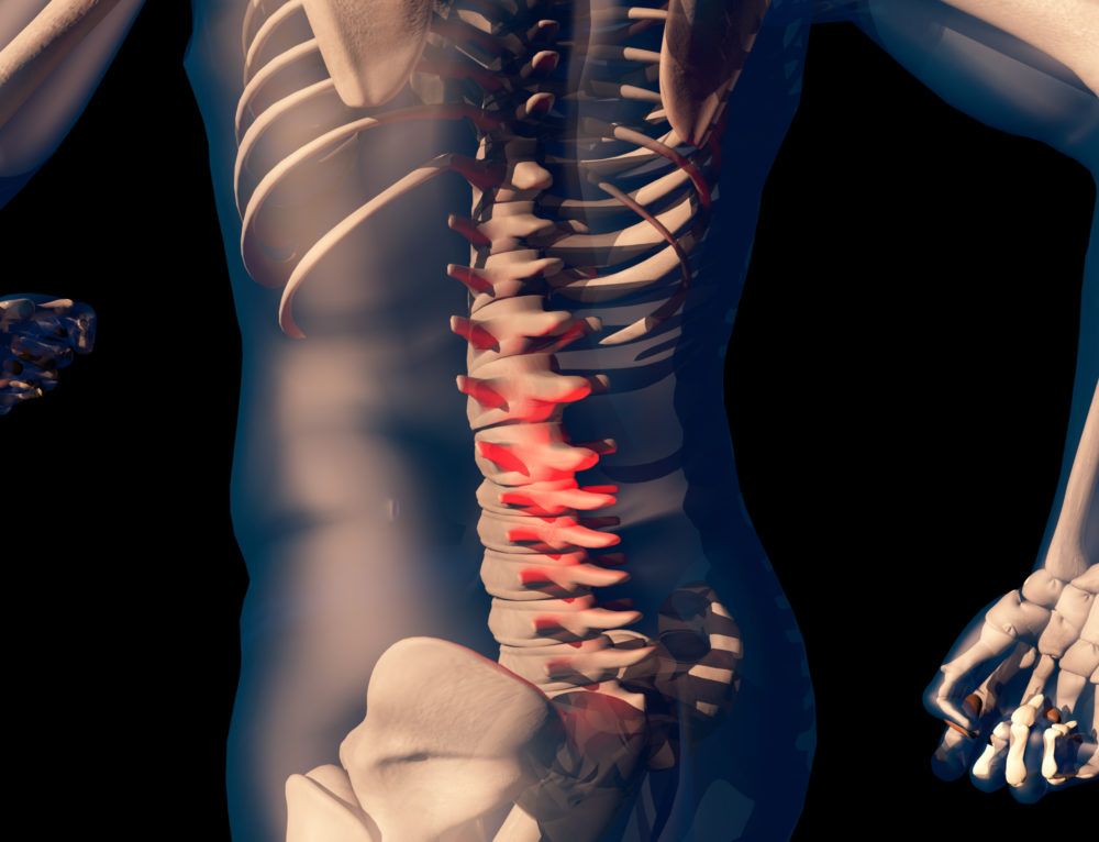The Benefits of Spinal Adjustment Fitness Chiropractic